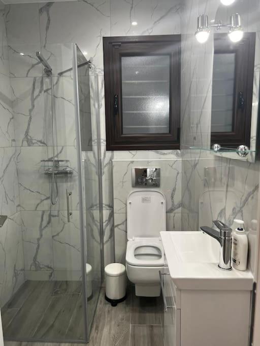 Olivia Luxury Apartment Palio Faliro 雅典 外观 照片