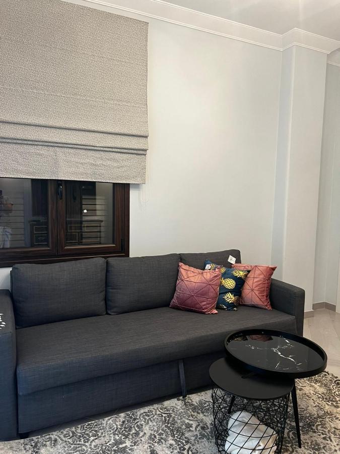 Olivia Luxury Apartment Palio Faliro 雅典 外观 照片